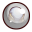 Orb of Revelation Navpearl.png